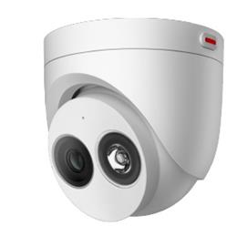 D3050-10-I-P(6mm) 1T 500万AI红外半球型摄像机