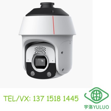 D6550-10-Z33-SV 5MP Dual-Light Full-Color Voice AI Dome Camera