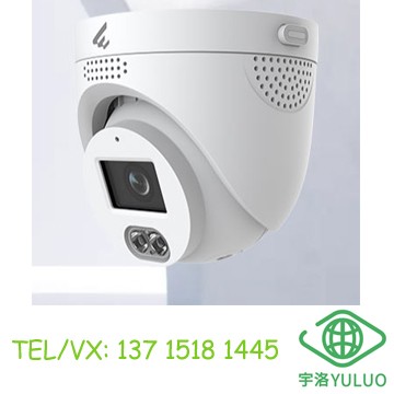 D3040-01-LIV (2.8mm) 4MP Dual-Light Audio Dome Camera