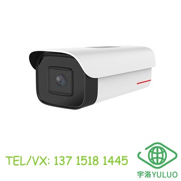 D2120-00-I-P 2-Megapixel Infrared Bullet Camera